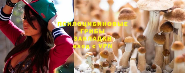 хмурый Надым
