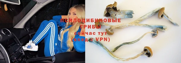 хмурый Надым