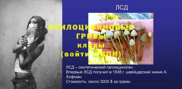 хмурый Надым