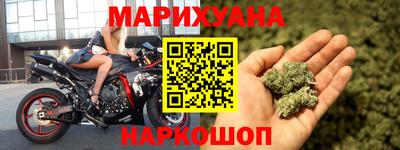 индика Ноябрьск