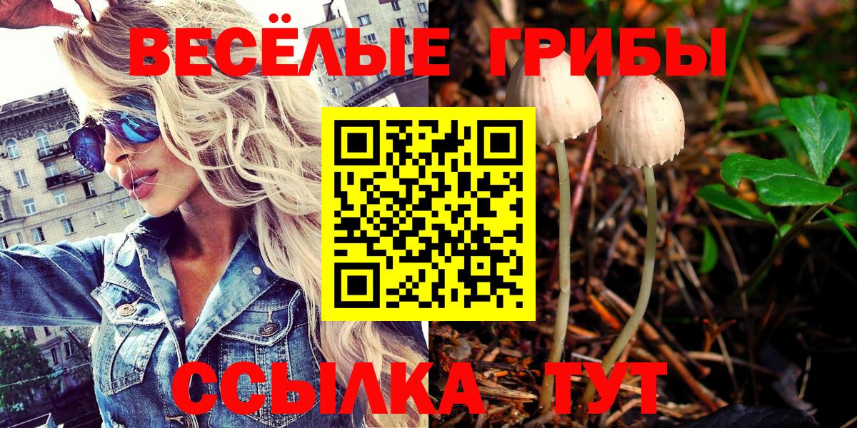 Галлюциногенные грибы мухоморы Норильск